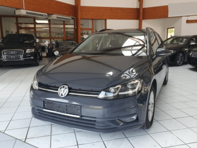 golf kombi gris